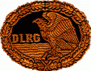 DLRG Bronze